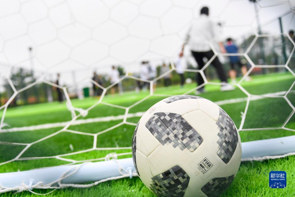 更是一种绿 更是一种绿