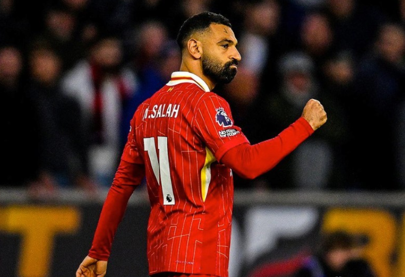 量型项目 量型项目